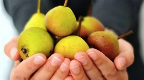 Откройте для себя фрукты и овощи сентября, чтобы сэкономить на продуктах