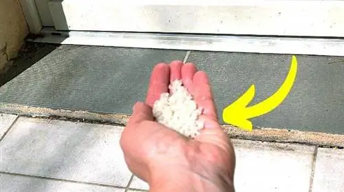 Почему вы должны посыпать солью свой дом?