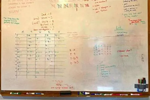 Доска, полная надписей всех цветов, которые трудно удалить