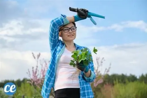 Женщина, которая занимается садоводством