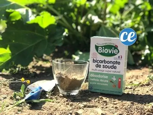 проверить кислую почву пищевой содой