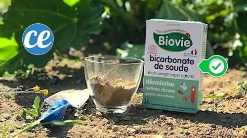 Быстрый и простой способ измерить рН почвы (рассказ садовника)