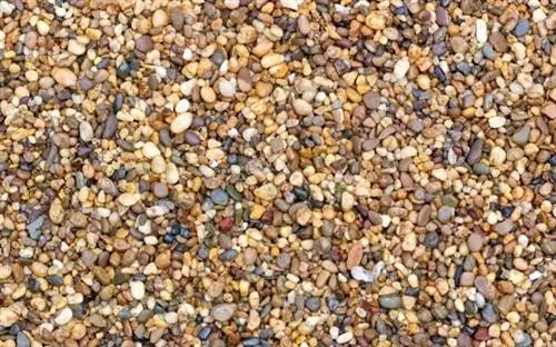 галька удерживает воду для экономии полива