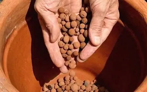 глиняные шарики в цветочном горшке