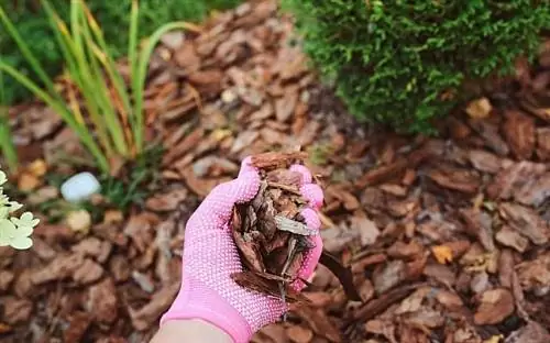 мульча из сосновой коры