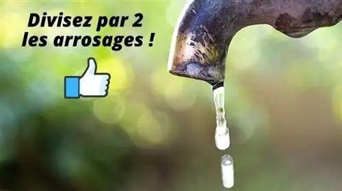 9 секретов садоводства, которые уменьшат полив на 50%