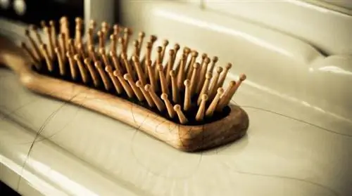 Засорились трубы? Не бросайте волосы на ветер