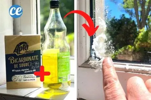 масло и пищевая сода, чтобы сделать пасту и ослабить остатки клея на окне