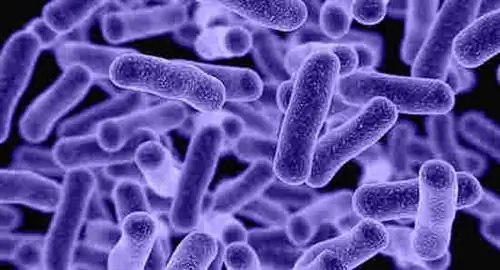 Польза коллоидного серебра: каково научно доказанное терапевтическое применение коллоидного серебра?