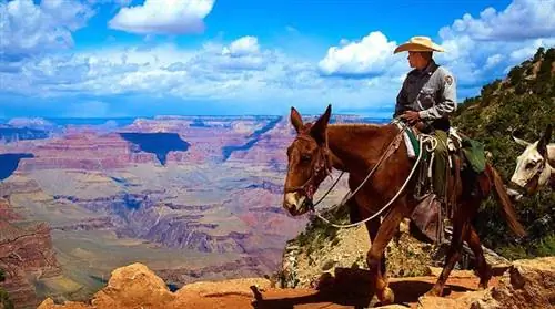 15 удивительных мест, которые вы можете посетить бесплатно на Google Maps