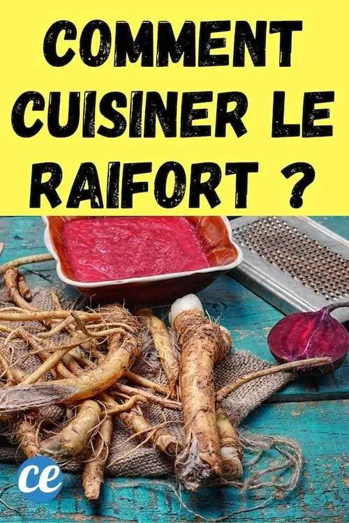 рецепты приготовления и употребления хрена