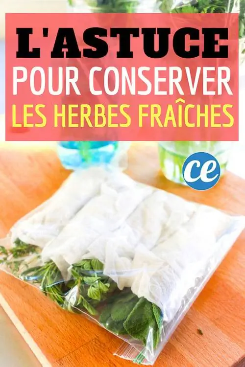 Хитрость, чтобы сохранить травы свежими дольше