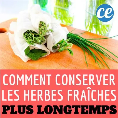 Как дольше сохранить свежую зелень?