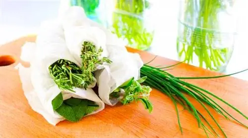 Безошибочный совет, как сохранить ароматические травы на 3 недели