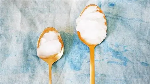 Маска с кокосовым маслом, которая понравится вашим уставшим волосам