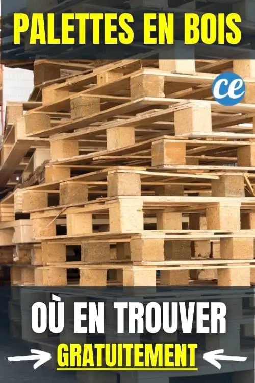 Где найти бесплатные деревянные поддоны?