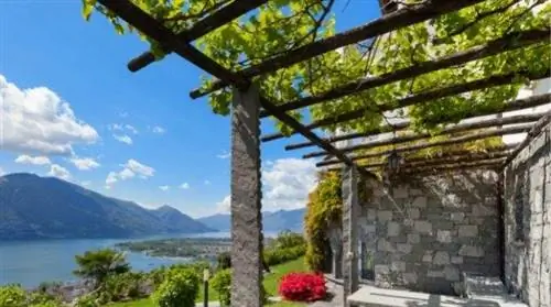 5 простых приемов на шпалере, чтобы получить тень в саду