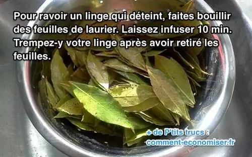 отварной лавровый лист помогает оживить выцветшую одежду