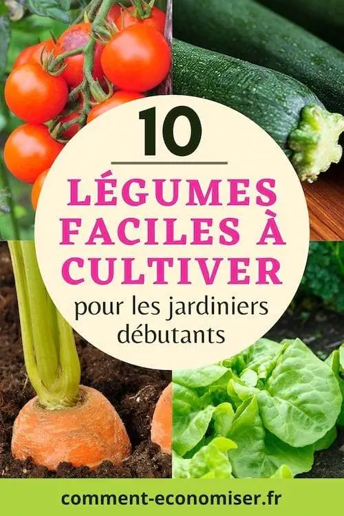 10 простых в выращивании овощей для новичков в садоводстве.