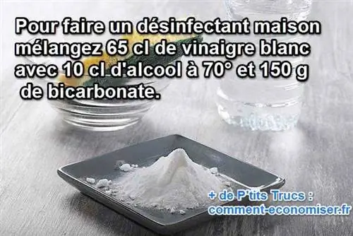 домашнее дезинфицирующее средство