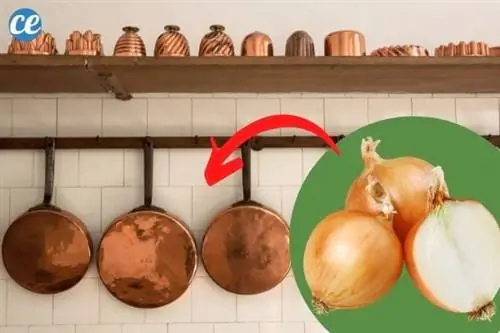 лук для раскисления меди и латуни