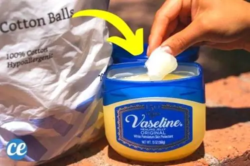 Чтобы сделать эффективный самодельный разжигатель огня, смешайте ватные шарики и вазелин.