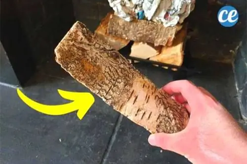 Древесная кора идеально подходит для разведения огня.