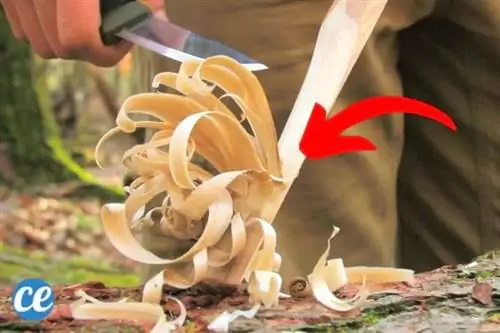 Техника ежа состоит в том, чтобы сделать надрезы на деревянной палочке, чтобы сделать разжигатель огня.