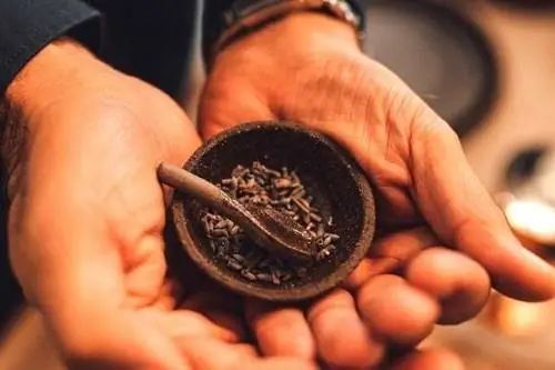 Две руки держат чашку семян тмина, которые лечат спазмы пищеварения.