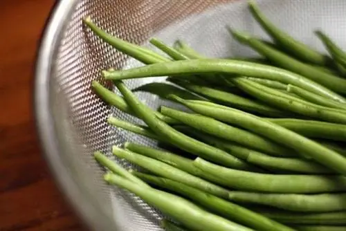 Мы едим зеленые овощи