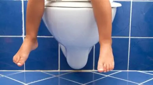 5 отличных советов, которые помогут вашему ребенку с запором