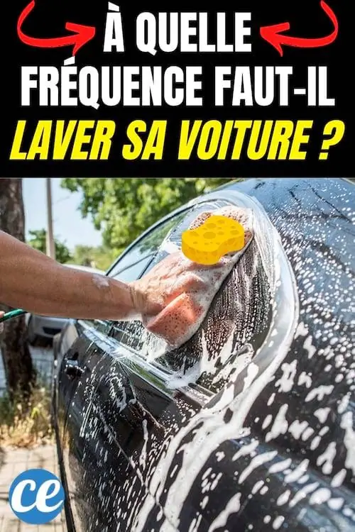 Как часто нужно мыть машину?