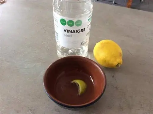 лечить бородавку белым уксусом и лимоном