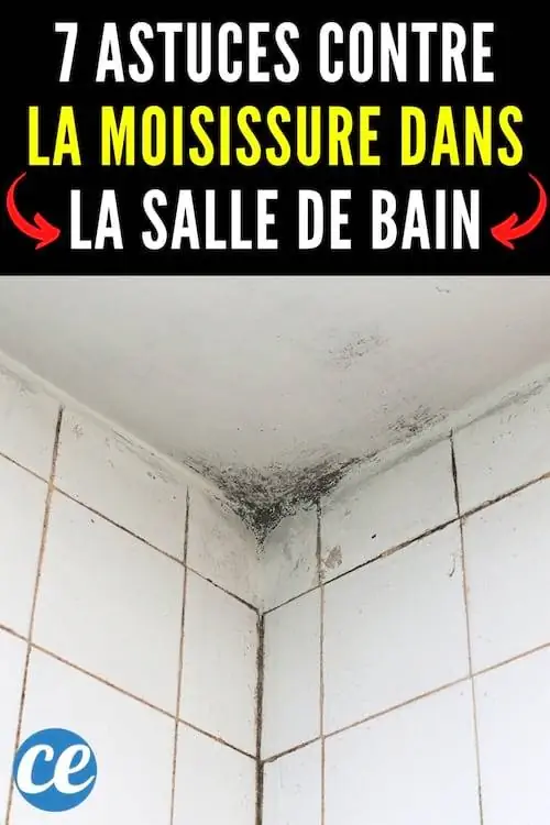 7 эффективных и натуральных советов против плесени в ванной