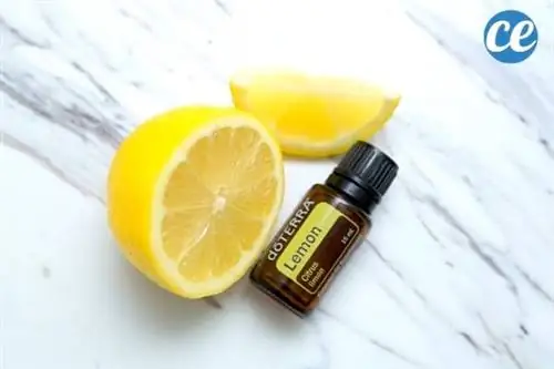 Лимон против плесени в ванной