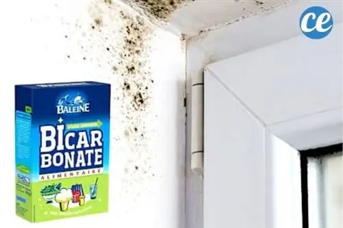 Пищевая сода против плесени на стене в ванной