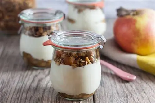 В чем разница между греческим йогуртом и обычным йогуртом?