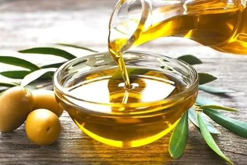 Здоровое оливковое масло в миске