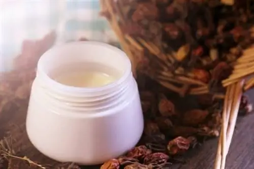 миска шиповника, чтобы сделать кожу мягкой