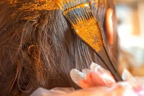 хна нанесла на волосы, чтобы покрасить