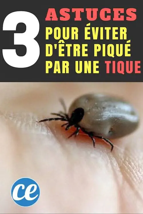 как избежать укуса клеща и что делать, если вас укусил