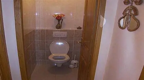 Как прочистить унитаз, не вызывая сантехника?