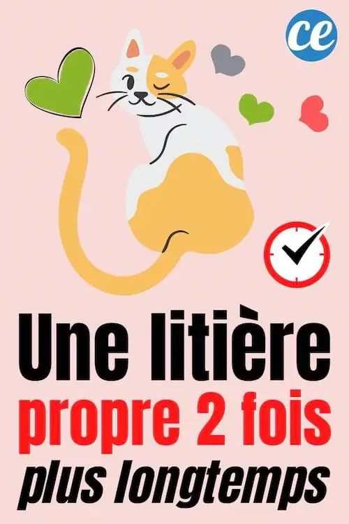 Как сохранить чистоту наполнителя и отсутствие запаха в 2 раза дольше.