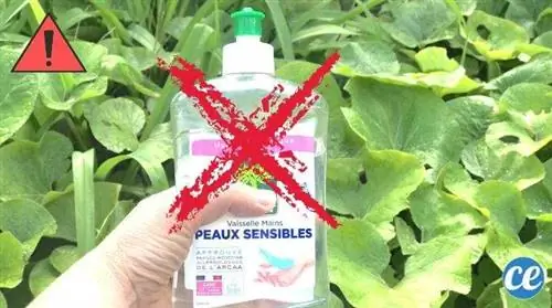 6 ошибок, которые все совершают с мылом для посуды