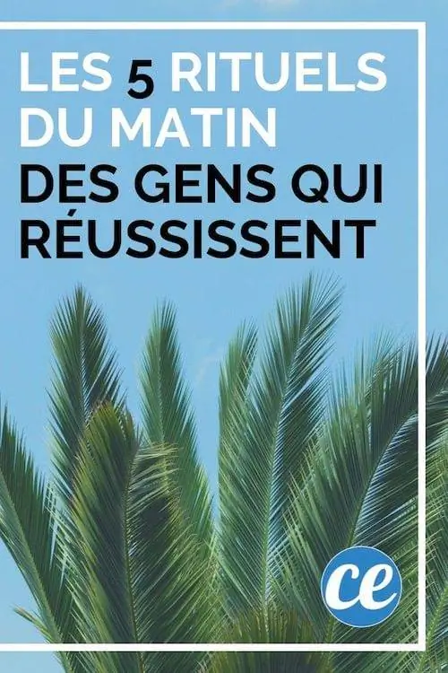 5 утренних ритуалов успешных людей.