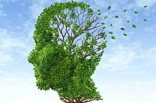 кофе улучшает память