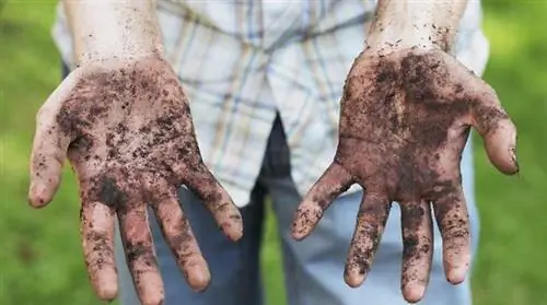 Простое мытье рук & Эффективно с бикарбонатом