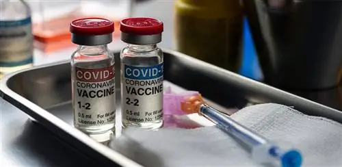 Вакцинация против коронавируса: комбинация работает сильнее