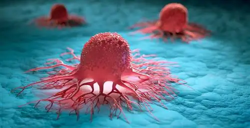 Новый ингибитор устойчивых раковых клеток