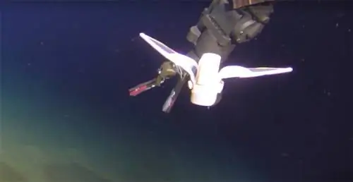 Мягкий робот погружается в Марианскую впадину